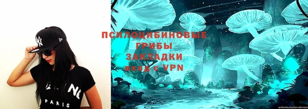 прущая мука Алексин