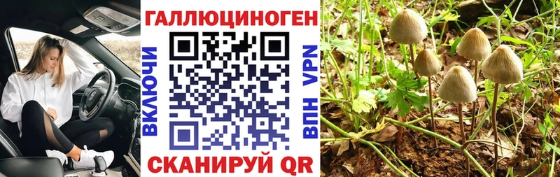 Галлюциногенные грибы GOLDEN TEACHER  Сочи 